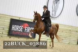 22BUCK_03886 proof