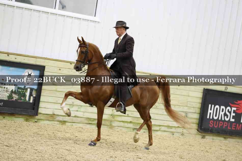 Proof 22BUCK_03887