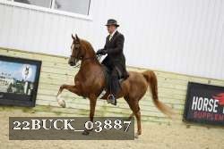 22BUCK_03887 proof
