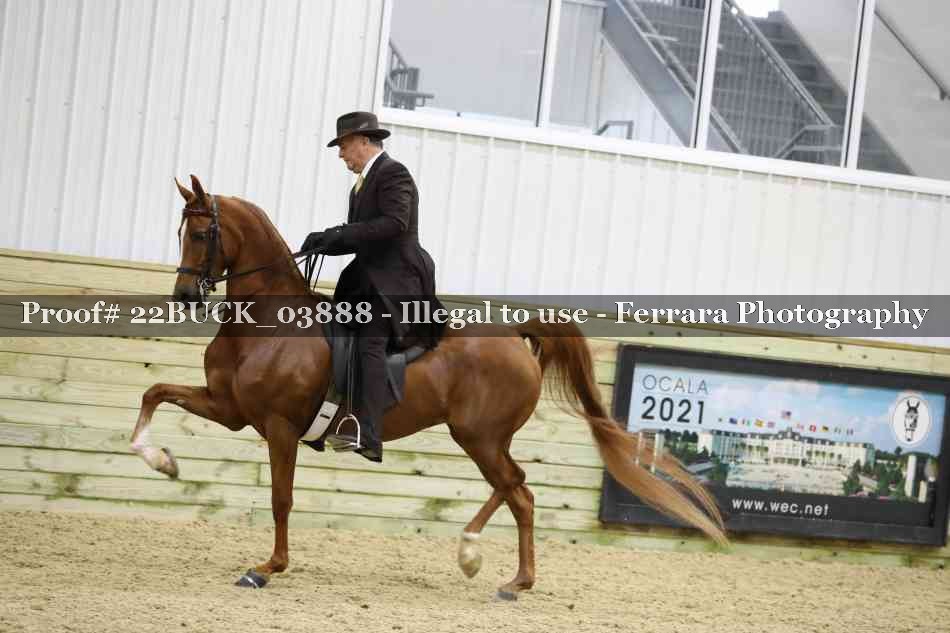 Proof 22BUCK_03888