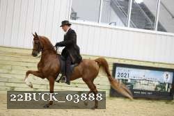 22BUCK_03888 proof