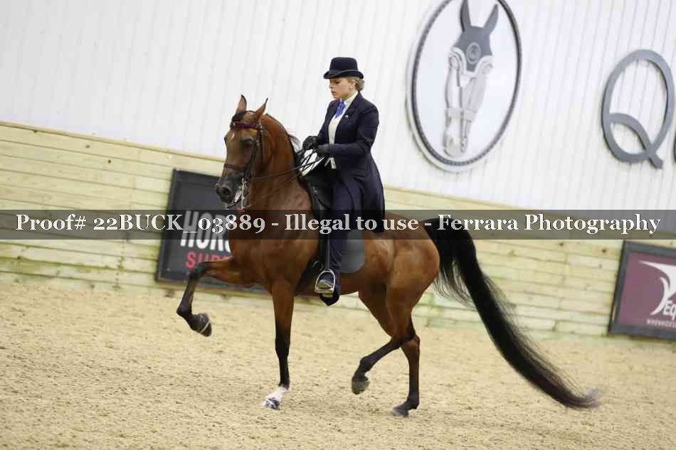Proof 22BUCK_03889
