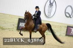 22BUCK_03889 proof