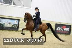 22BUCK_03890 proof