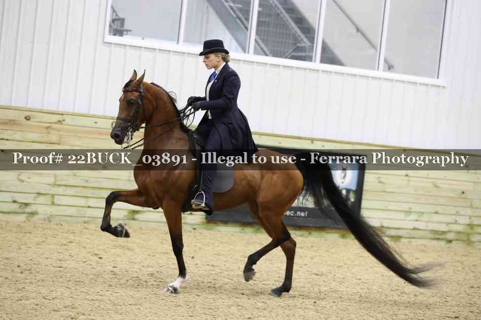 Proof 22BUCK_03891