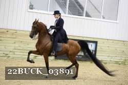 22BUCK_03891 proof