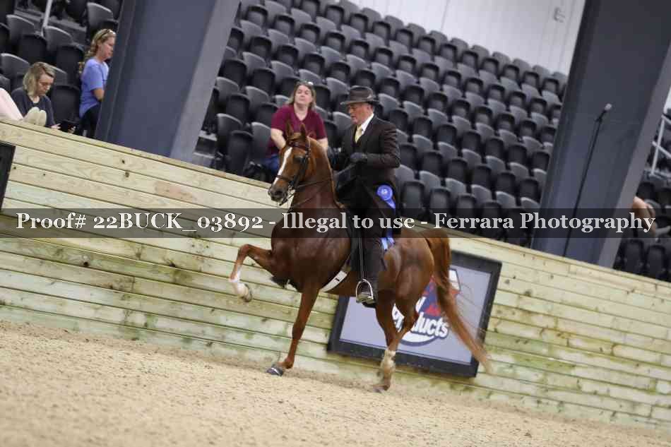 Proof 22BUCK_03892