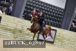 22BUCK_03892 proof