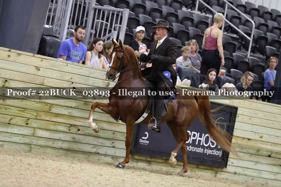 Proof 22BUCK_03893