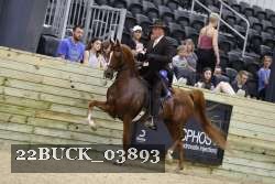22BUCK_03893 proof