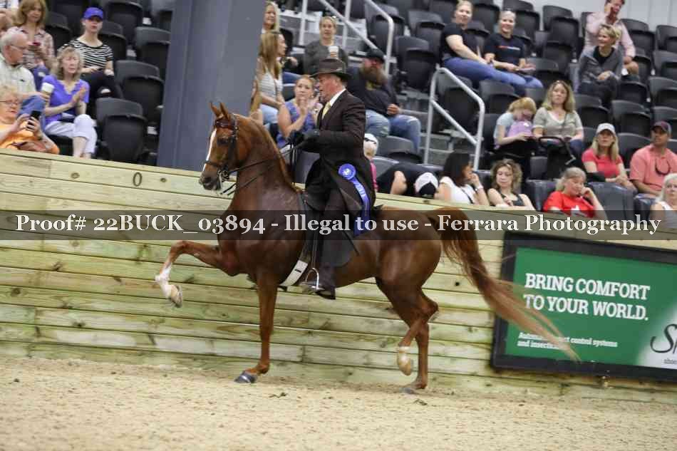 Proof 22BUCK_03894
