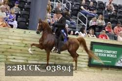 22BUCK_03894 proof