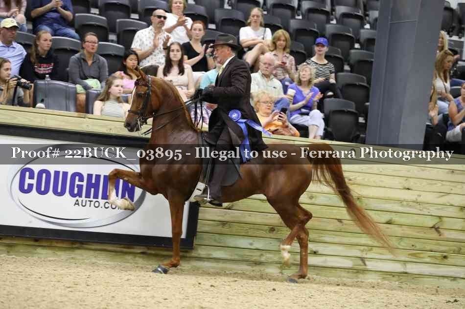 Proof 22BUCK_03895