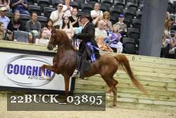 22BUCK_03895 proof
