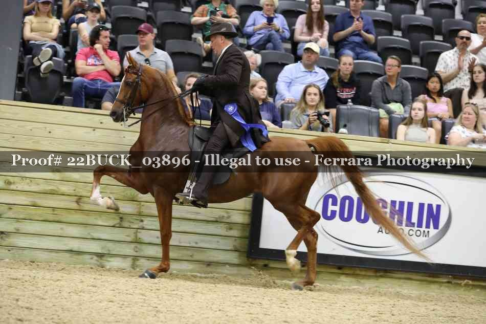 Proof 22BUCK_03896