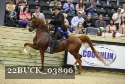 22BUCK_03896 proof