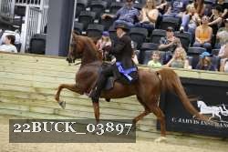 22BUCK_03897 proof