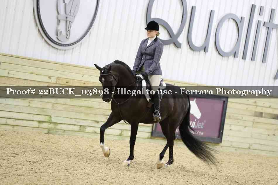 Proof 22BUCK_03898