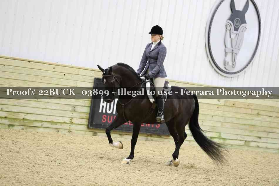 Proof 22BUCK_03899
