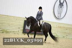 22BUCK_03899 proof