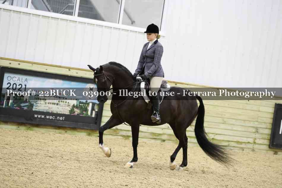 Proof 22BUCK_03900