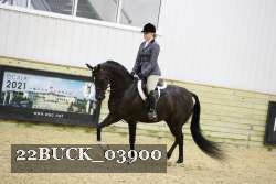 22BUCK_03900 proof