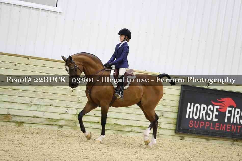 Proof 22BUCK_03901