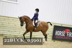 22BUCK_03901 proof