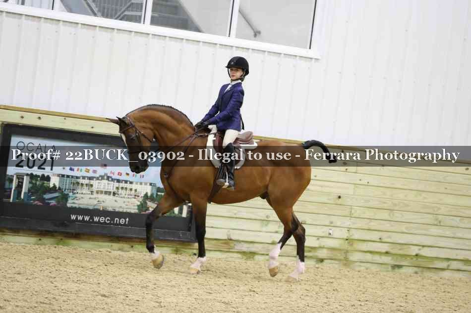 Proof 22BUCK_03902