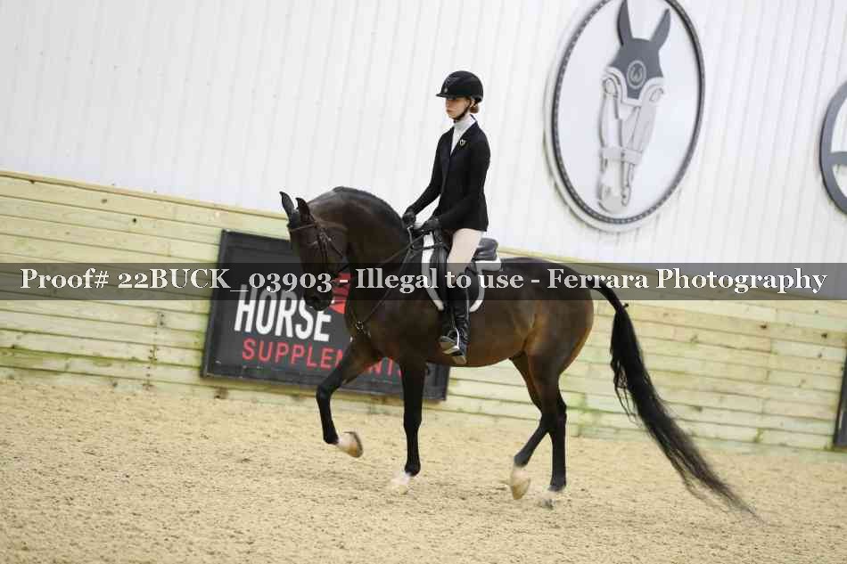 Proof 22BUCK_03903