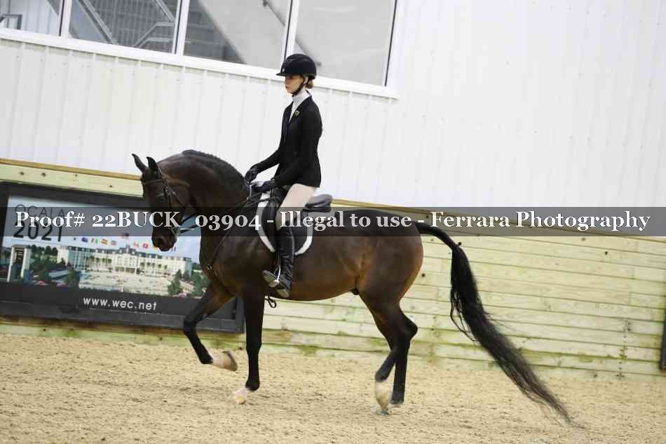 Proof 22BUCK_03904