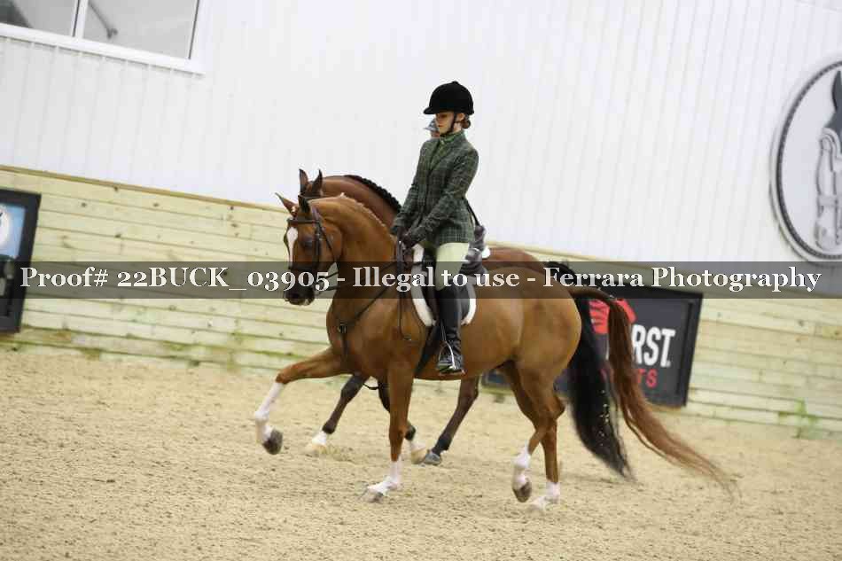 Proof 22BUCK_03905