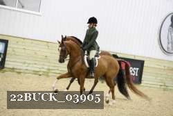22BUCK_03905 proof