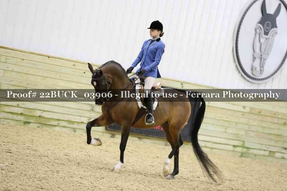 Proof 22BUCK_03906