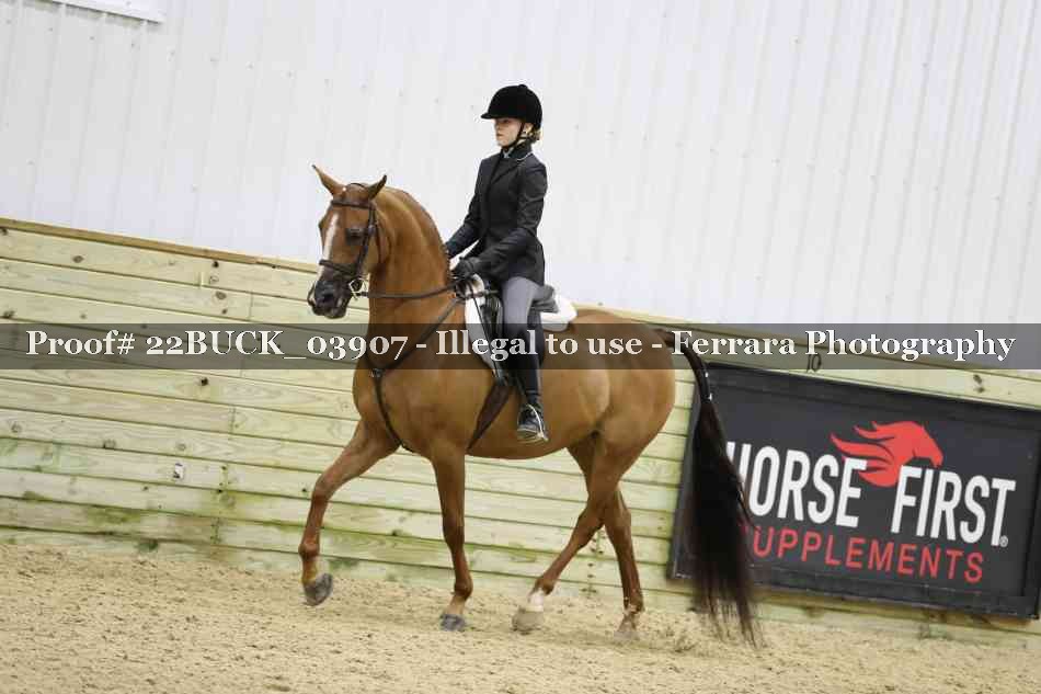Proof 22BUCK_03907
