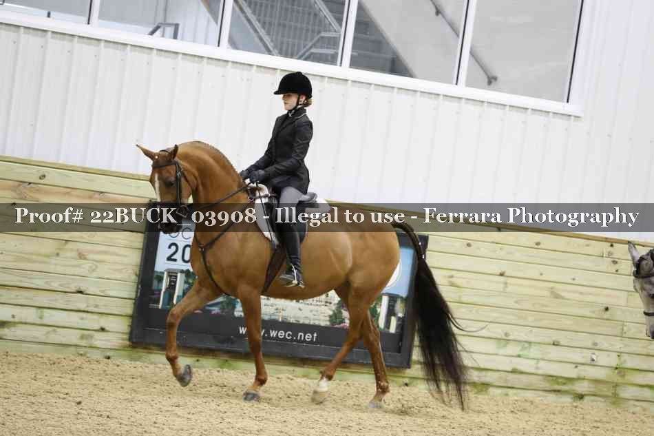 Proof 22BUCK_03908
