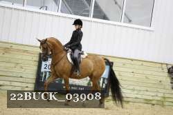 22BUCK_03908 proof