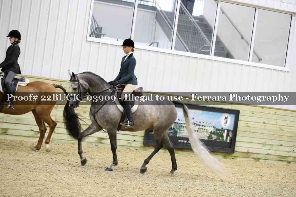 Proof 22BUCK_03909