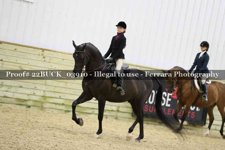 Proof 22BUCK_03910