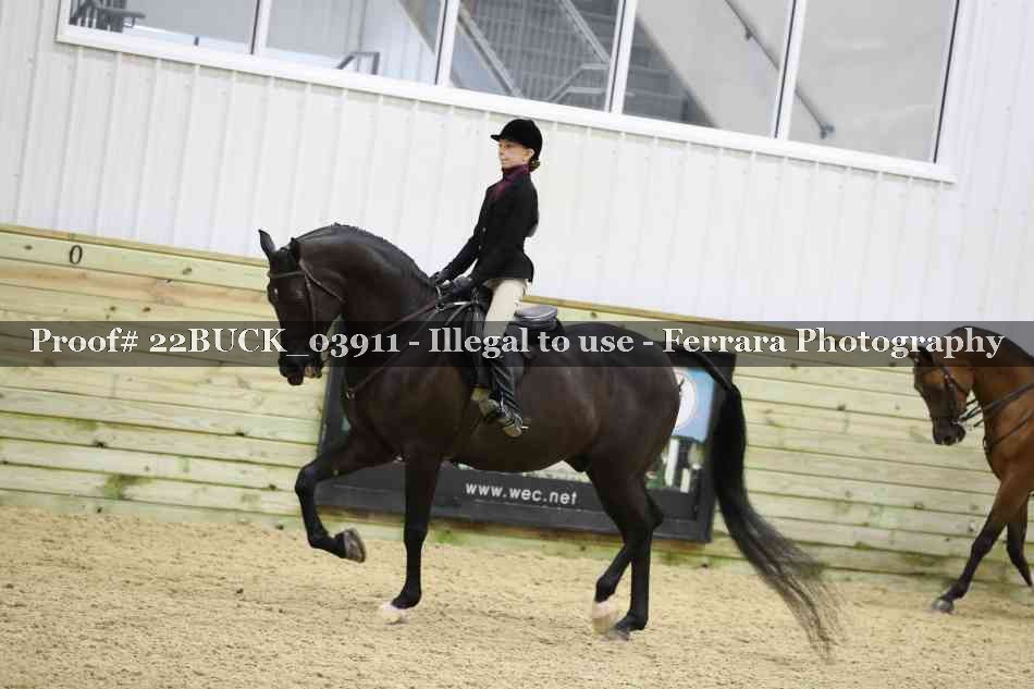 Proof 22BUCK_03911