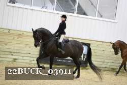 22BUCK_03911 proof