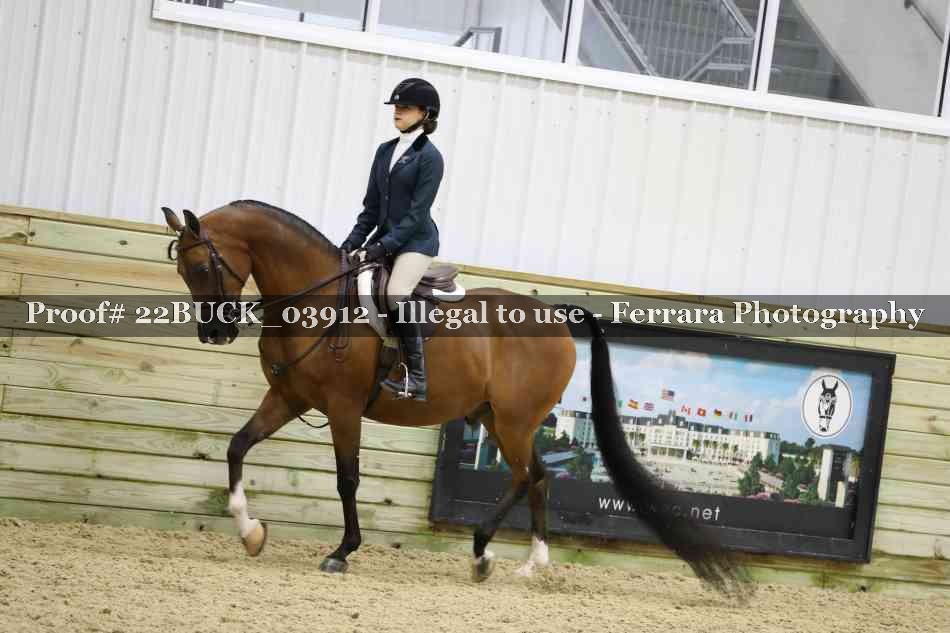 Proof 22BUCK_03912