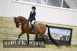 22BUCK_03912 proof
