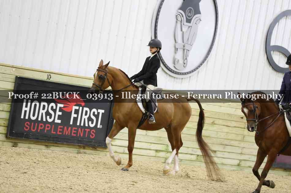Proof 22BUCK_03913