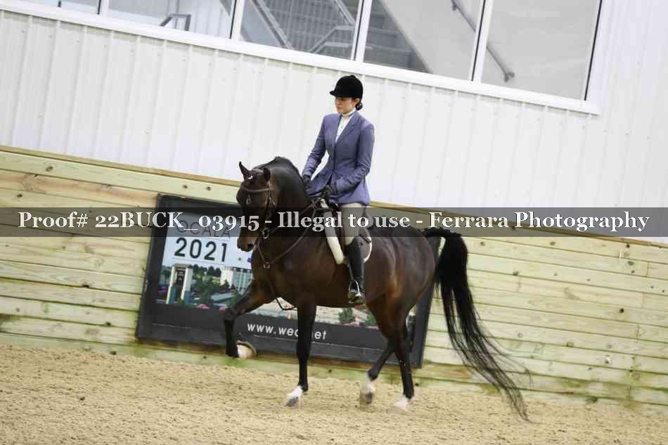 Proof 22BUCK_03915