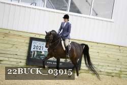 22BUCK_03915 proof