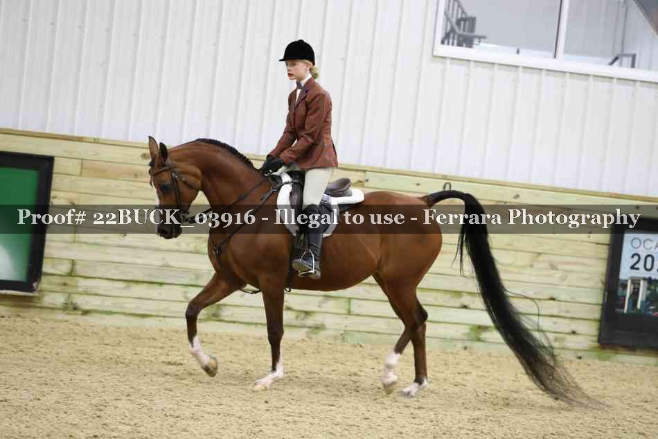 Proof 22BUCK_03916