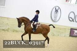 22BUCK_03917 proof