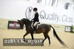 22BUCK_03918 proof