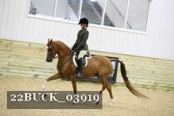 22BUCK_03919 proof